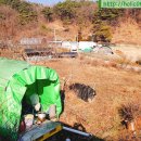 남송농장 이미지