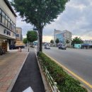 영광통약국 이미지