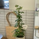 승진농장2 이미지