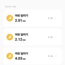 삼시세끼돈이생각날때 이미지