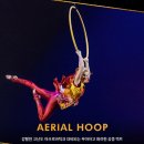 대신에코사이클 | 태양의 서커스 &lt;쿠자&gt; 서울 ㅣ내돈내산 관람 후기 (202구역 시야)