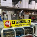 선희네 이미지