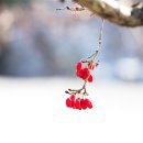 만수고등학교 이미지