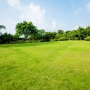 골프기초반 이미지