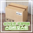 한국에서 싱가포르로 국제택배 보내기 트랙스로지스 스마트포스트 후기