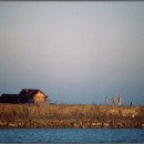 우리들의 꿈들 이미지