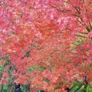 좋은아침 이미지