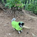 성라공원1 약수터 | [후기] 지하철 타고 강아지랑 관악산 등산 우중등산 (관악산공원-연주대 초보코스)