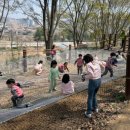 유아숲화장실 이미지