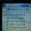 공*식 Daum카페