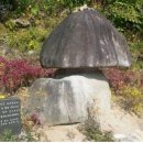 입맛 없으면 병원에 가지말고 한 3일정도 굶어라!! 이미지