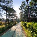 신대생태회랑2 이미지