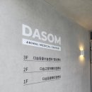 다솜고양이메디컬센터 금정점 | 부산동물병원 고양이중성화수술 다솜고양이메디컬센터 금정점 다녀왔어요!