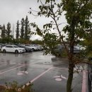 배산실내체육관 배드민턴장 이미지