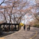 남산공원 이미지