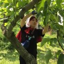 자원농원 이미지