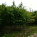 만평농장 이미지