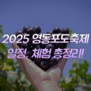 과일나라김밥 | 영동포도축제 기본정보 일정 체험 총정리 충북 영동 가을 가볼만한곳 추천