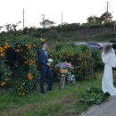 가장농장 이미지