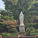 대한제국과 혼마치 ㉑ 명동성당 이미지