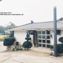 성환건강원 - 중구 중앙대로 307-16 | 성환건강원