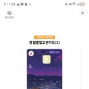기아오토큐영월점