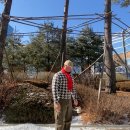 어썸데일리