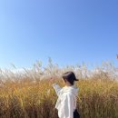아나나스맨션
