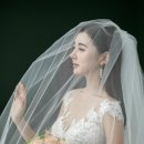 썸바디스튜디오