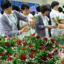 태백병원 이미지