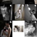 ARC | 대구 본식스냅 계약후기 '아크베일(arc veil)' 신상 업체 후기