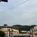 인터코어 | 260716 뮤지컬 유미의세포들 최재림 유리아 티파니영 후기 / 토월극장 op 3열 3번 시야