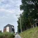 은행나무길 | 곡교천 은행나무길 &gt; 아산 가을명소 - 전국의 아름다운 10대 가로수길 선정된 아산 은행나무길 방문 후기