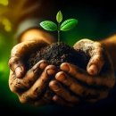 용암1농장 이미지