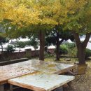 해변가민박 이미지