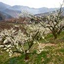 계월농장 이미지