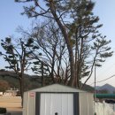 지천초등학교 | [캐나다쉐드 조립식 창고] 3월 4일 경상북도 칠곡군 지천 초등학교 (창고 L-size) 설치 후기