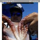 오토오아시스 배꽃나라점 이미지