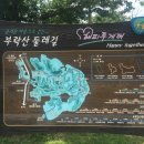 초록길도서관 이미지