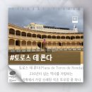 스페인 론다 자유여행 투우장 토로스 데 론다 후기