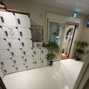 고센스터디