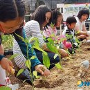 다하누농장 이미지