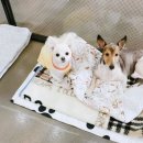 제연동물병원 이미지