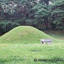 탈해왕릉 | 경주가볼만한곳 탈해왕릉 방문자 찐 후기