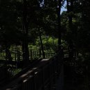 푸른솔목장 이미지