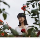 꽃보다 사랑 이미지