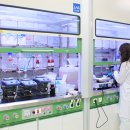 에스티25(ST25) 이미지