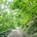 한실황토민박집 이미지