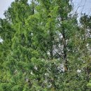 사계절오토캠핑장 이미지