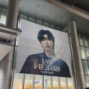 건행국 | [임영웅 콘서트]효도 끝팡왕 건행도사 임영웅 광주 첫공 후기(오늘부터 영웅시대)